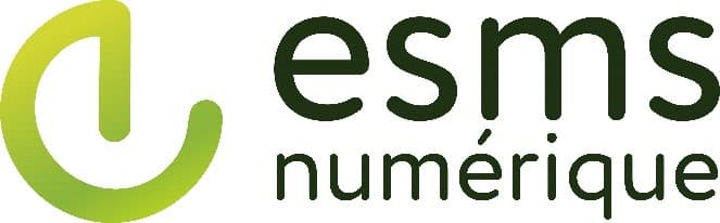 Logo programme ESMS numérique